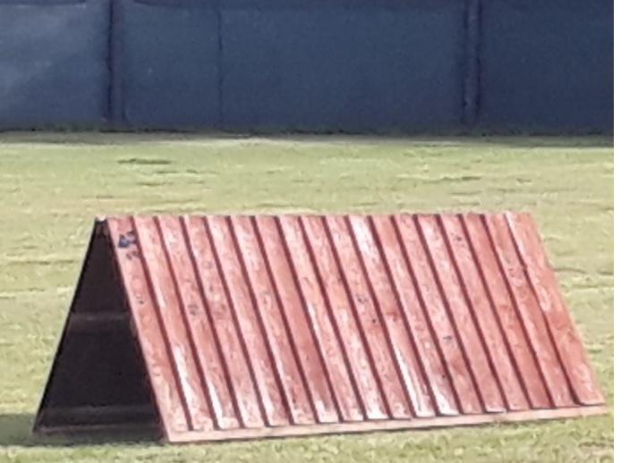 Play equipment for dogs
