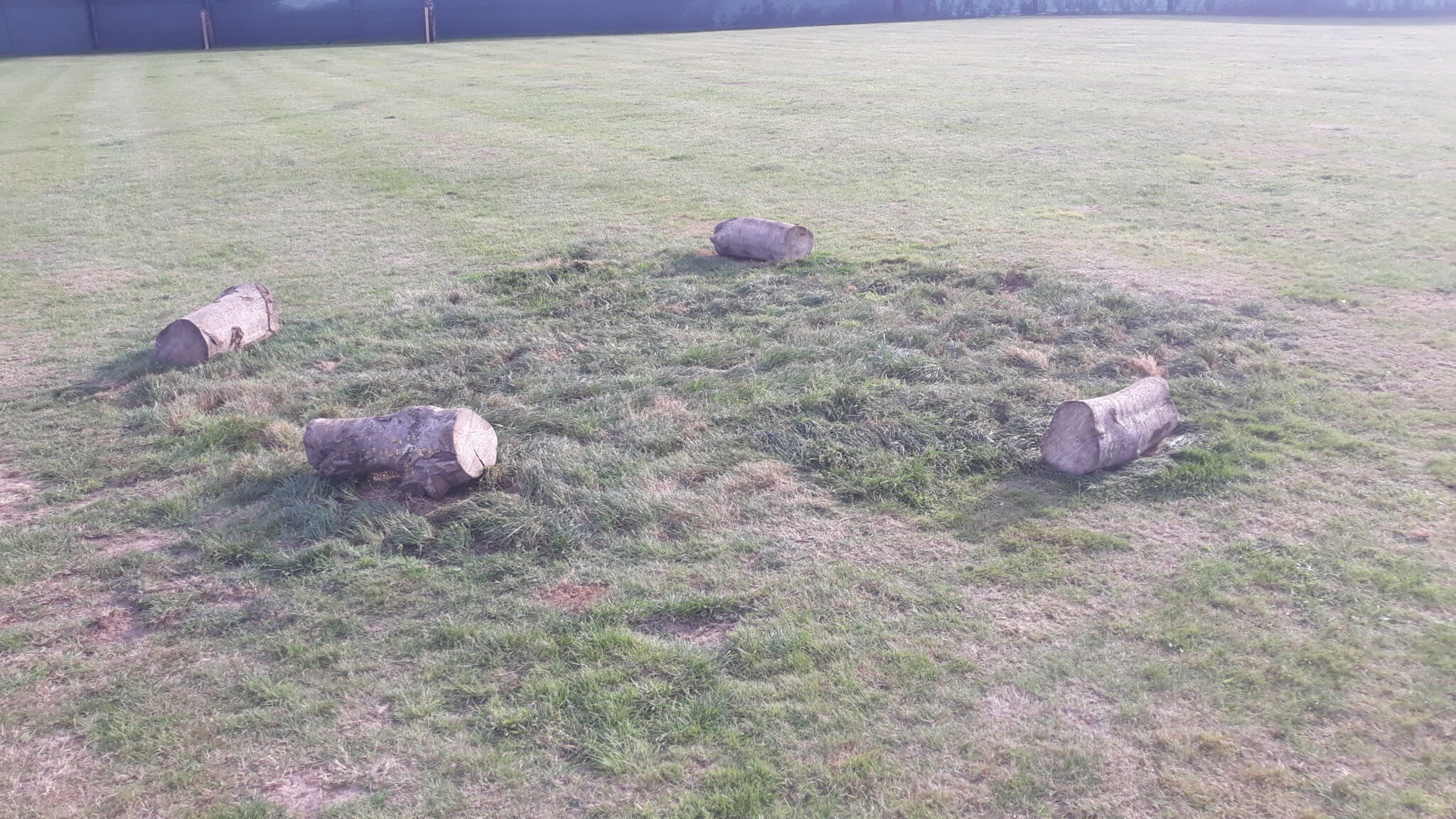 Wide view of the field